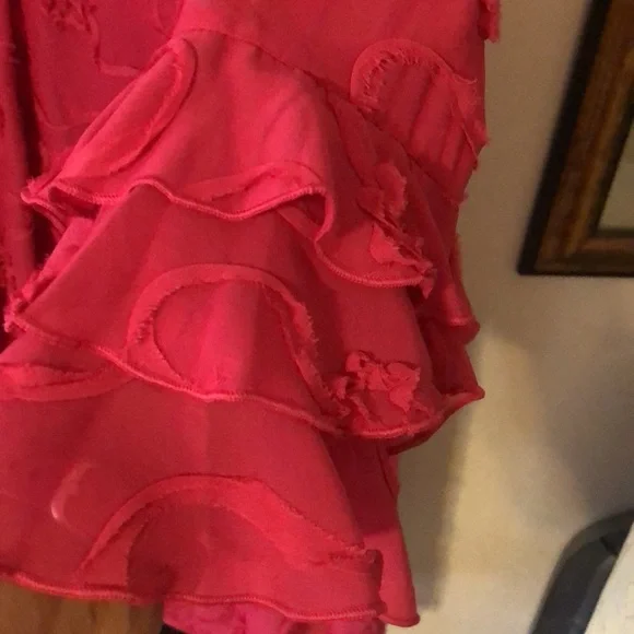 Beautiful Dress Cerise Color with Ornamental Accents and Ruffled Sleeves. - Picture 7 of 9